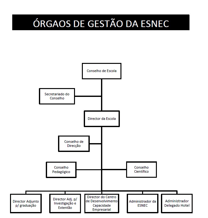 organograma esnec
