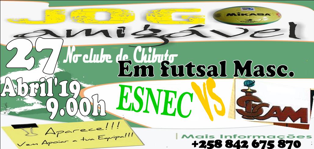 Jogo amigavel esnec
